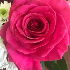 Meet your Posher, Jeri